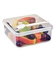 Tellfresh&reg; Lunch Kits