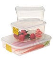 Leftovers Plastic