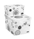 Flower Burst Decoboxes