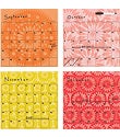 Carnivale Dry Erase Calendar Set
