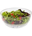 Ice & Go&reg; Salad Bowl
