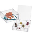 Acrylic Square Hinged-Lid Boxes