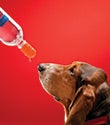 Pet Top&reg; Combo Pack&trade;