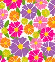 Burst of Blooms Gift Wrap