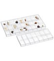 Clear Compartment Boxes Clear Compartment Boxes