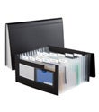 Black 13-Pocket Accordion Files
