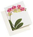 Gift Tags & Enclosures