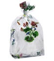 Garden Floral Cellophane Bags