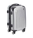 21" Silver 8-Wheeled Sidewinder