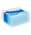 13-Pocket Accordion Receipt File