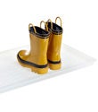 Boot Tray Boot Tray