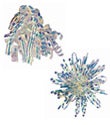 Opalescent Bows