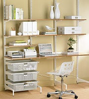 Study Area