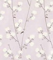 Lavender Blossoms Gift Wrap