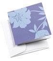 Modern Poinsettia Gift Enclosures