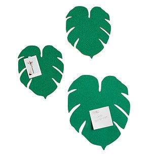 U Brands® Planted Succulent Magnets Terracotta Pkg/6