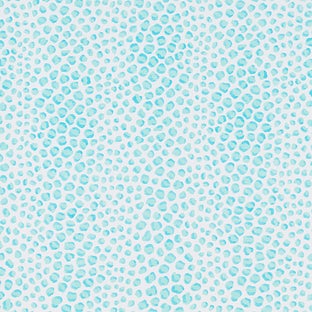 Tissue Sheets Reflections Multicolor Pkg/24