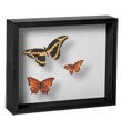 Shadow Box by Umbra&reg;