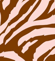 Safari pattern