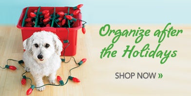 Organize after the Holidays