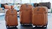 Eagle Creek&trade; Sienna Explore Wheeled Luggage