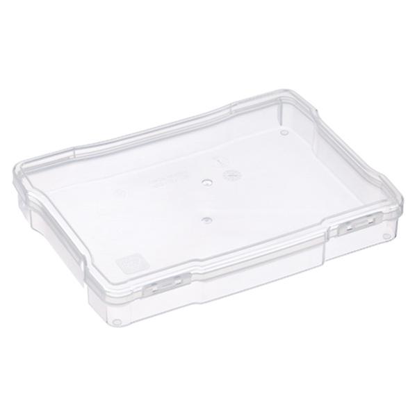 Iris Photo and Embellishment Craft Case, Clear