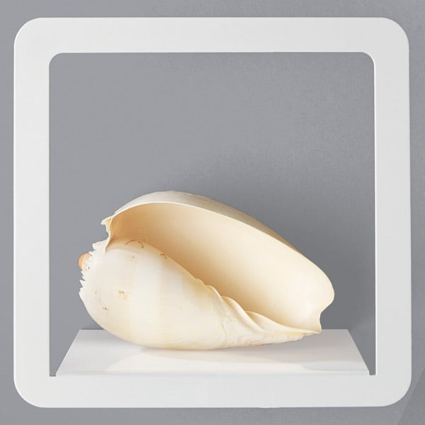 Simple Display Shelf by Umbra