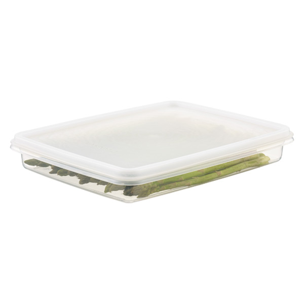 shallow clear plastic container