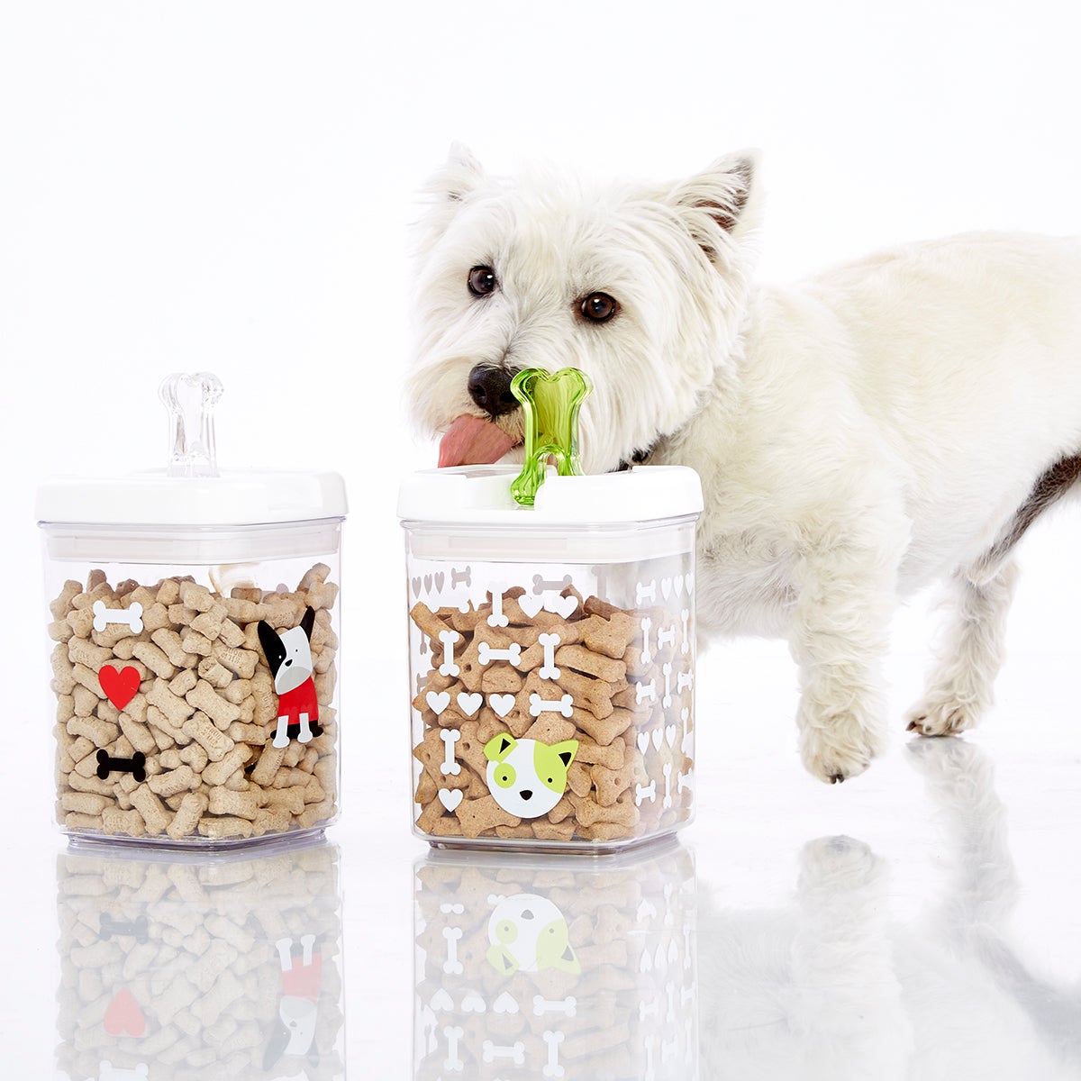 small dog treat container