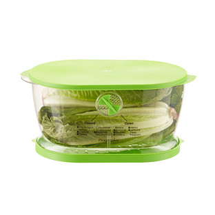 https://images.containerstore.com/catalogimages/314755/10042017-lettuce-keeper.jpg