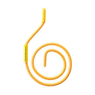 Gold Drain Millipede