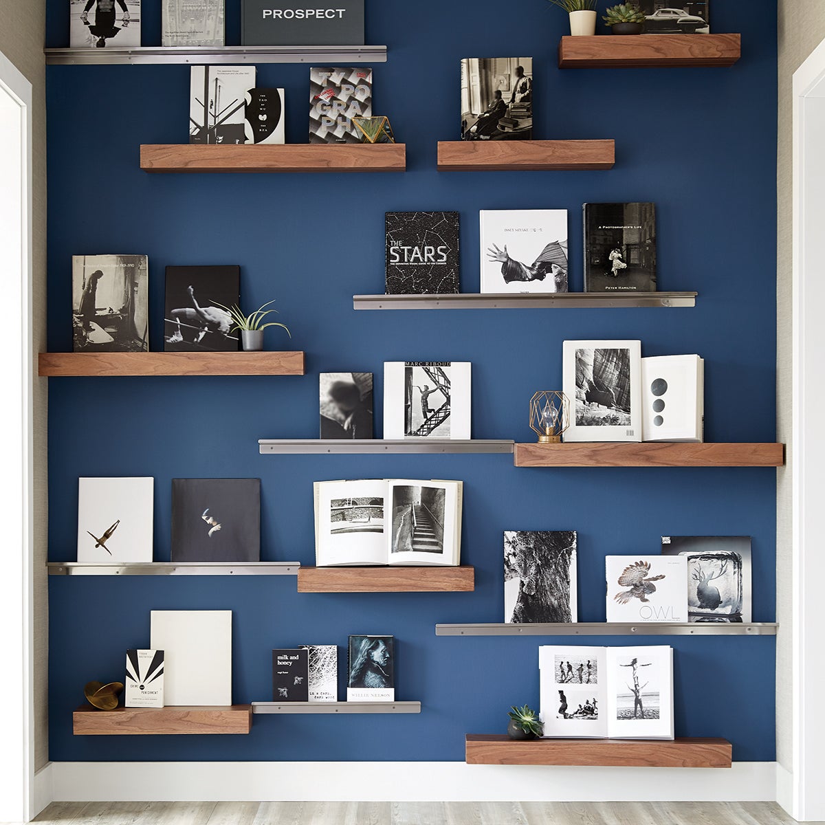 Three By Stainless Steel Display Wall Shelves The Container Three By Stainless Steel Display Wall Shelves The Container
