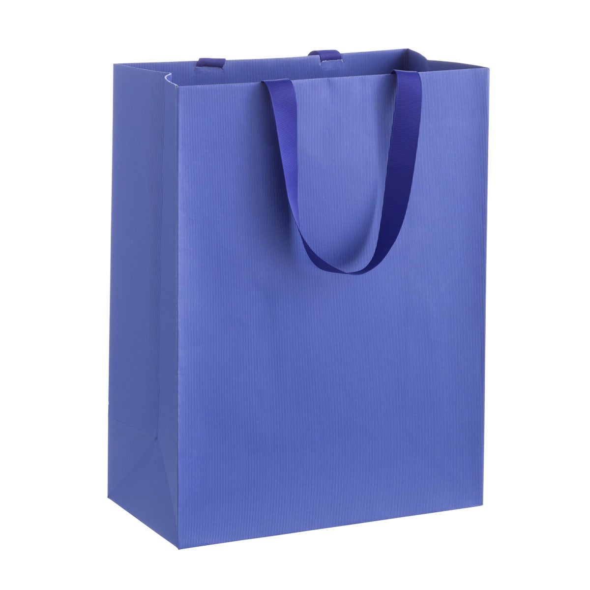 Large Gift Bag The Container Store