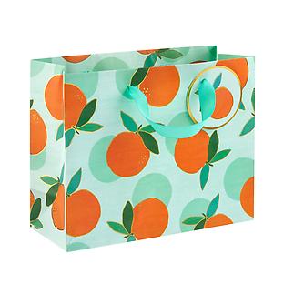 Medium Orange Crush Mint Gift Bag