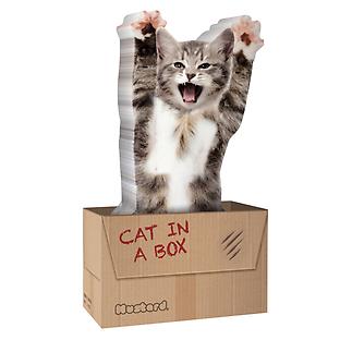 Cat in a Box Sticky Notes