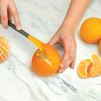 The quintessential citrus tool is now available online, for a