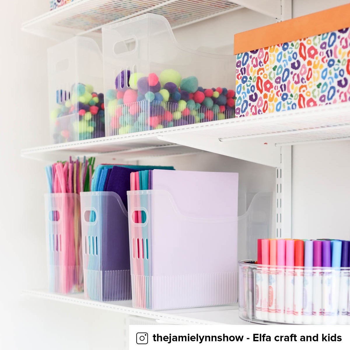 Multi-Purpose Bins