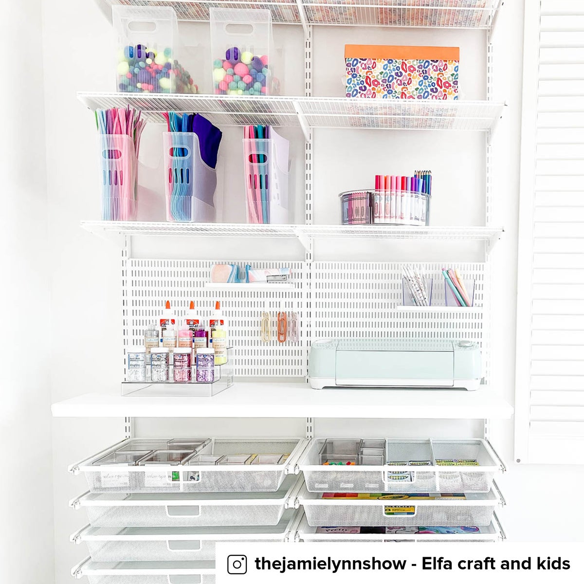 Multi-Purpose Bins