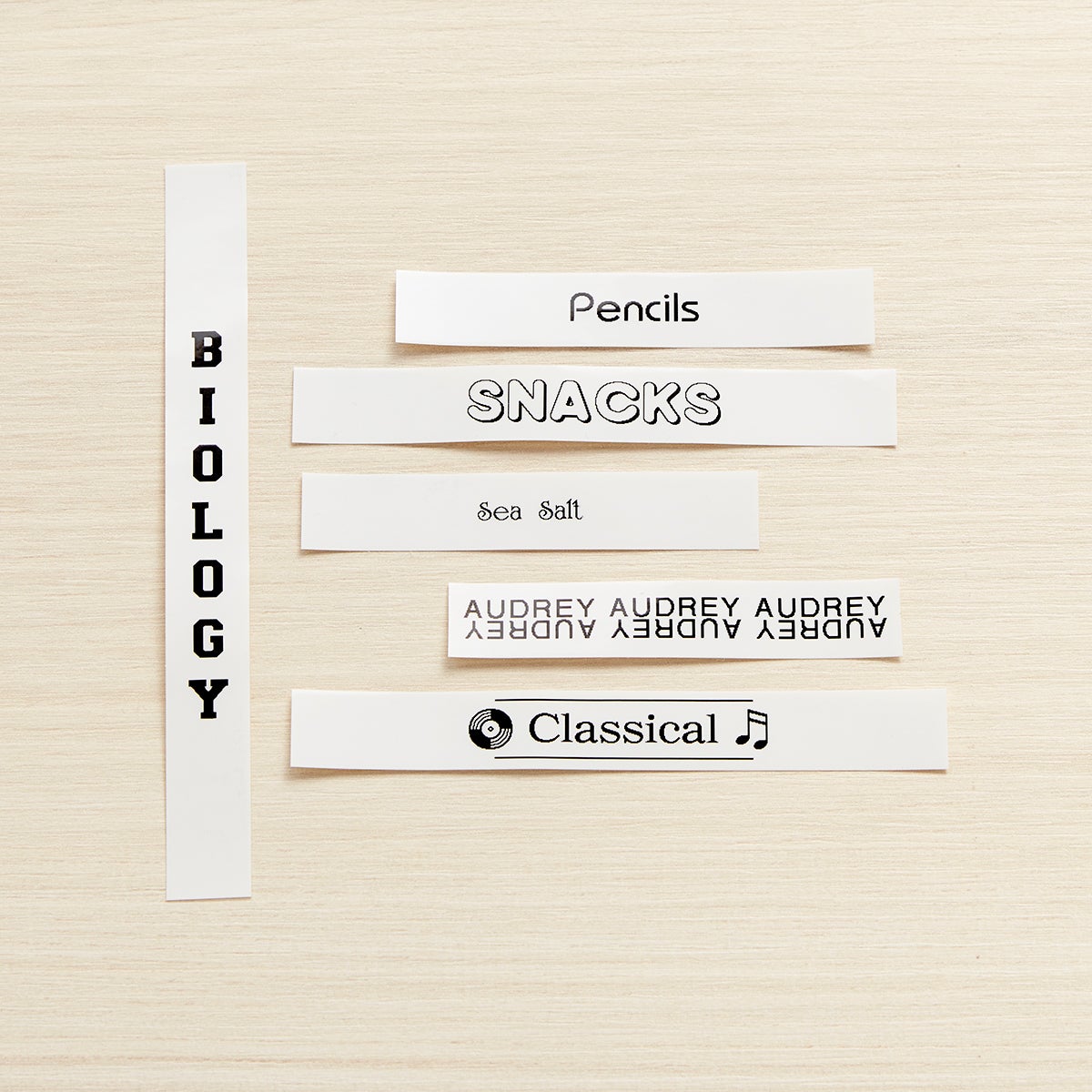 Brother Label Maker with Carrying Case The Container Store