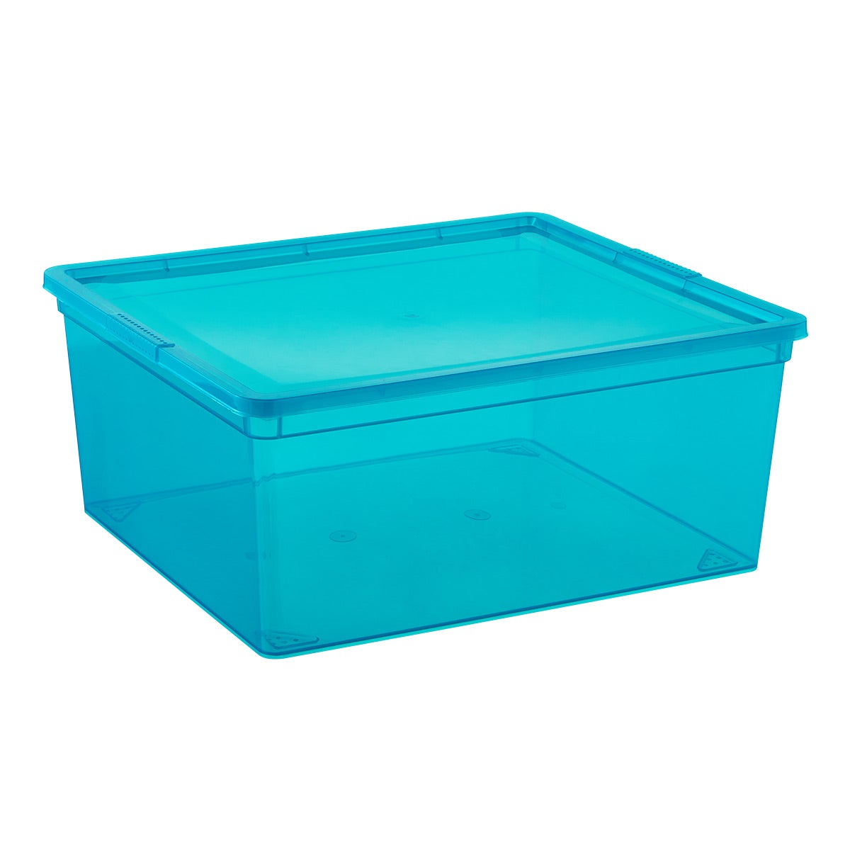 Large Our Tidy Box Peacock