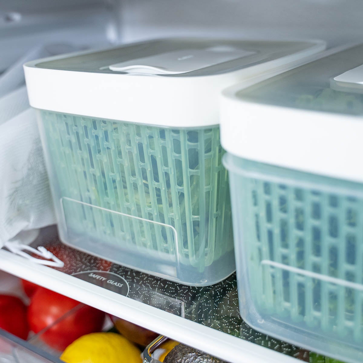 OXO greensaver Produce Keepers The Container Store