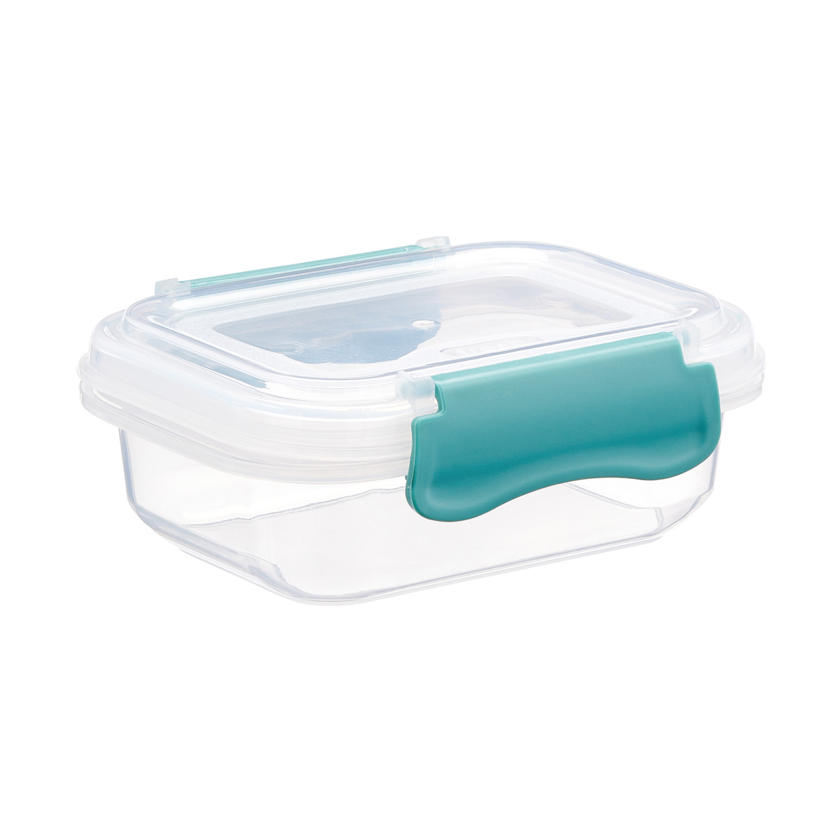 Plastic Food Containers With Mint Clips 