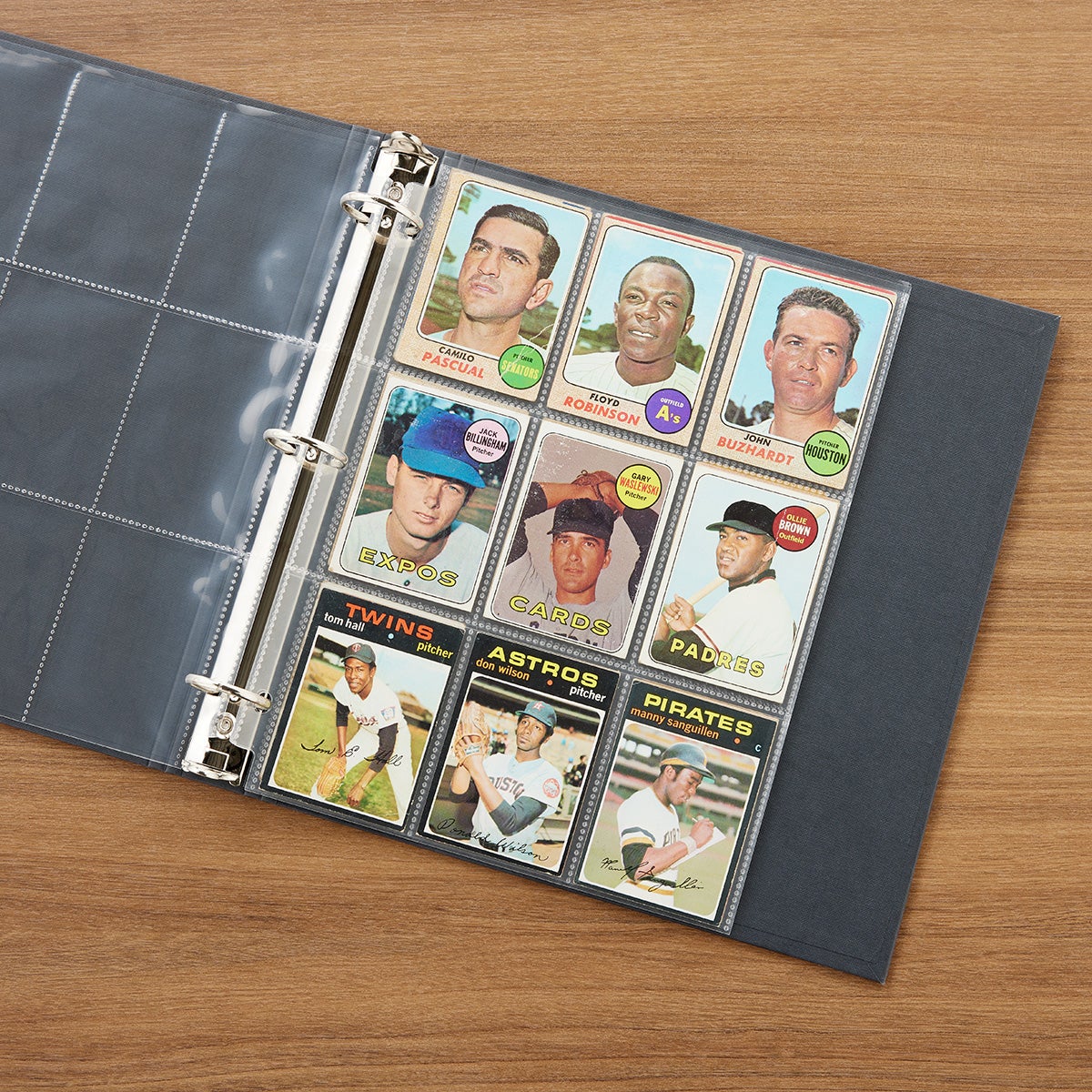 Photo & Card Storage Pages