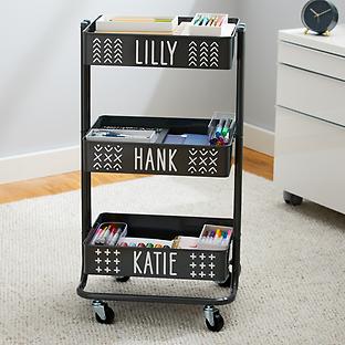 3-Tier Cart Labeling Project Kit