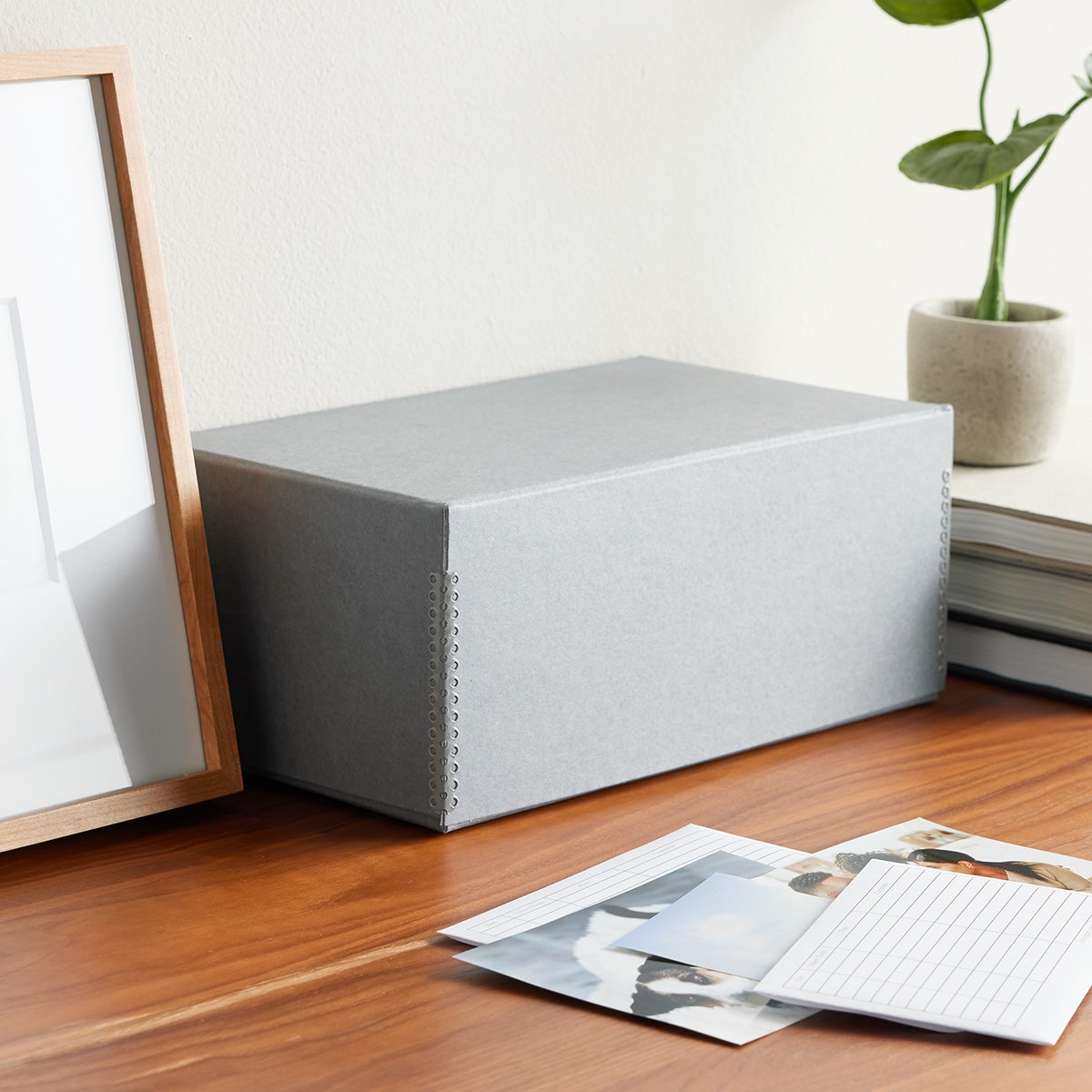 University Products Large Archival Photo Storage The Container Store