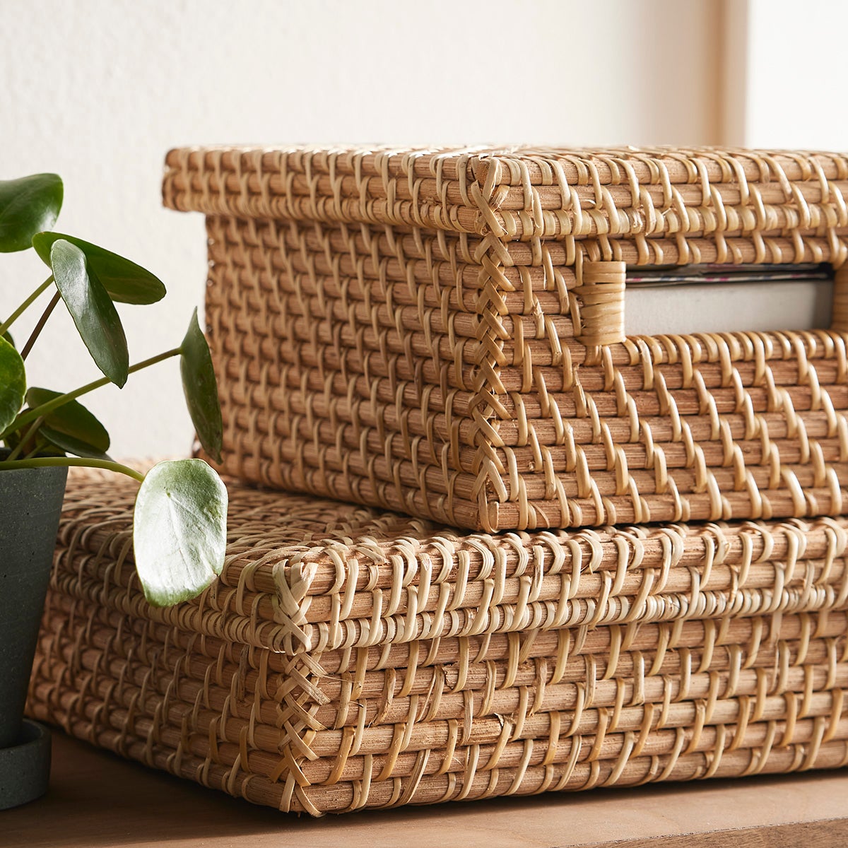 Marie Kondo Ori Rattan Photo Box The Container Store