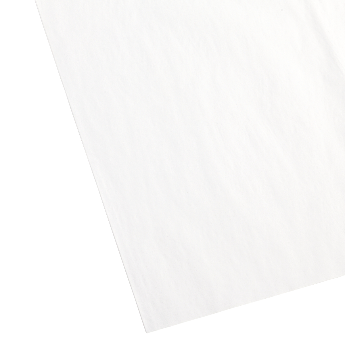 Tissue Sheets Solid White Pkg/24