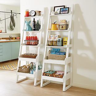 https://images.containerstore.com/catalogimages/461357/SH_17_10072157-Encore-ladder-Shelf-.jpeg?width=312&height=312
