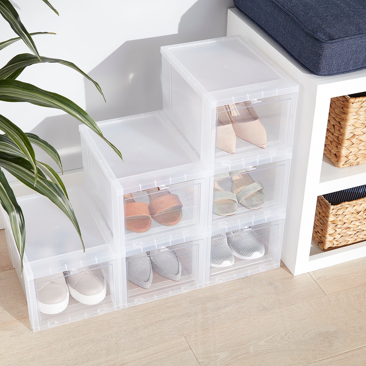 Drop-Front Shoe Box Case of 6 | The Container Store