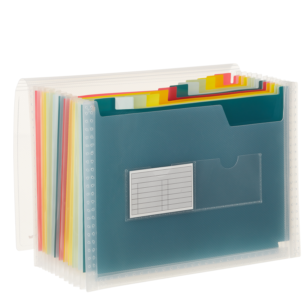 The Container Store 13-Pocket Accordion Letter File Rainbow